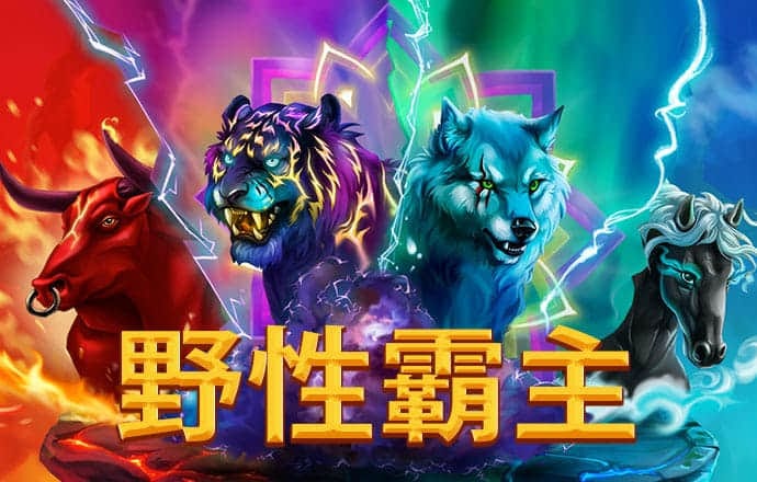 kk体育最新官网app
